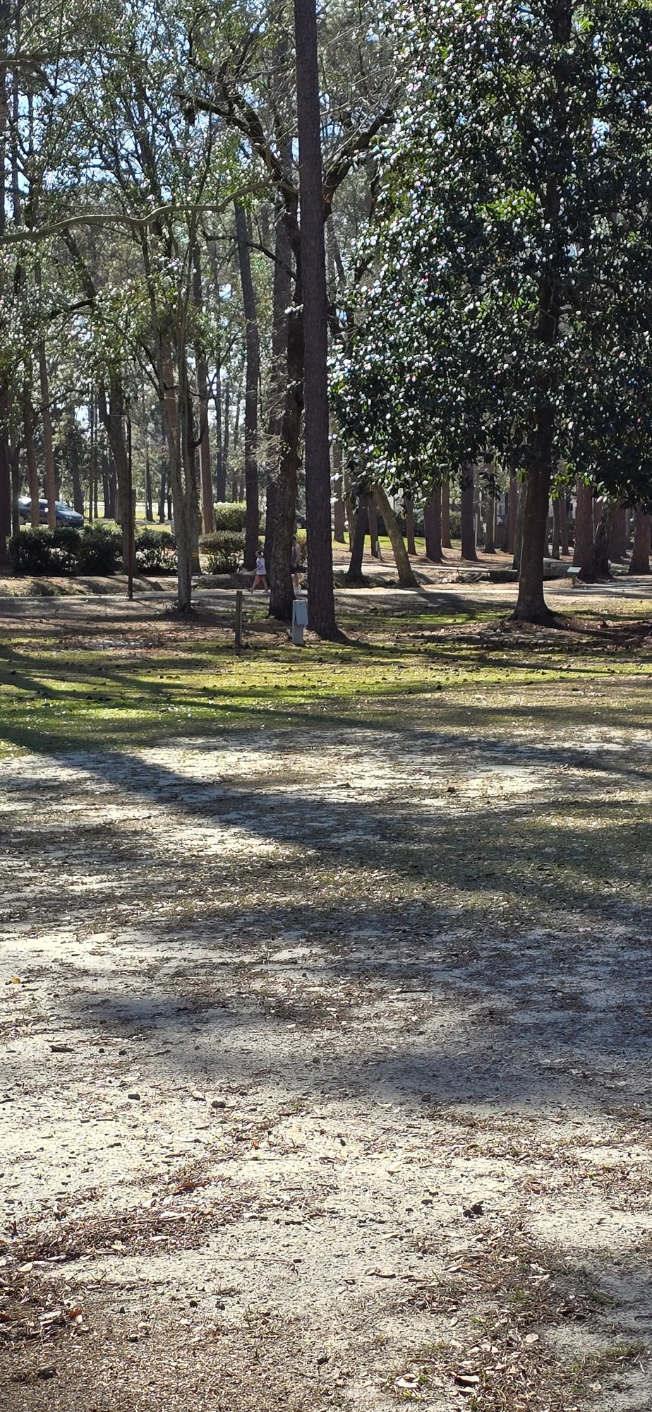 From hole 6 short pad