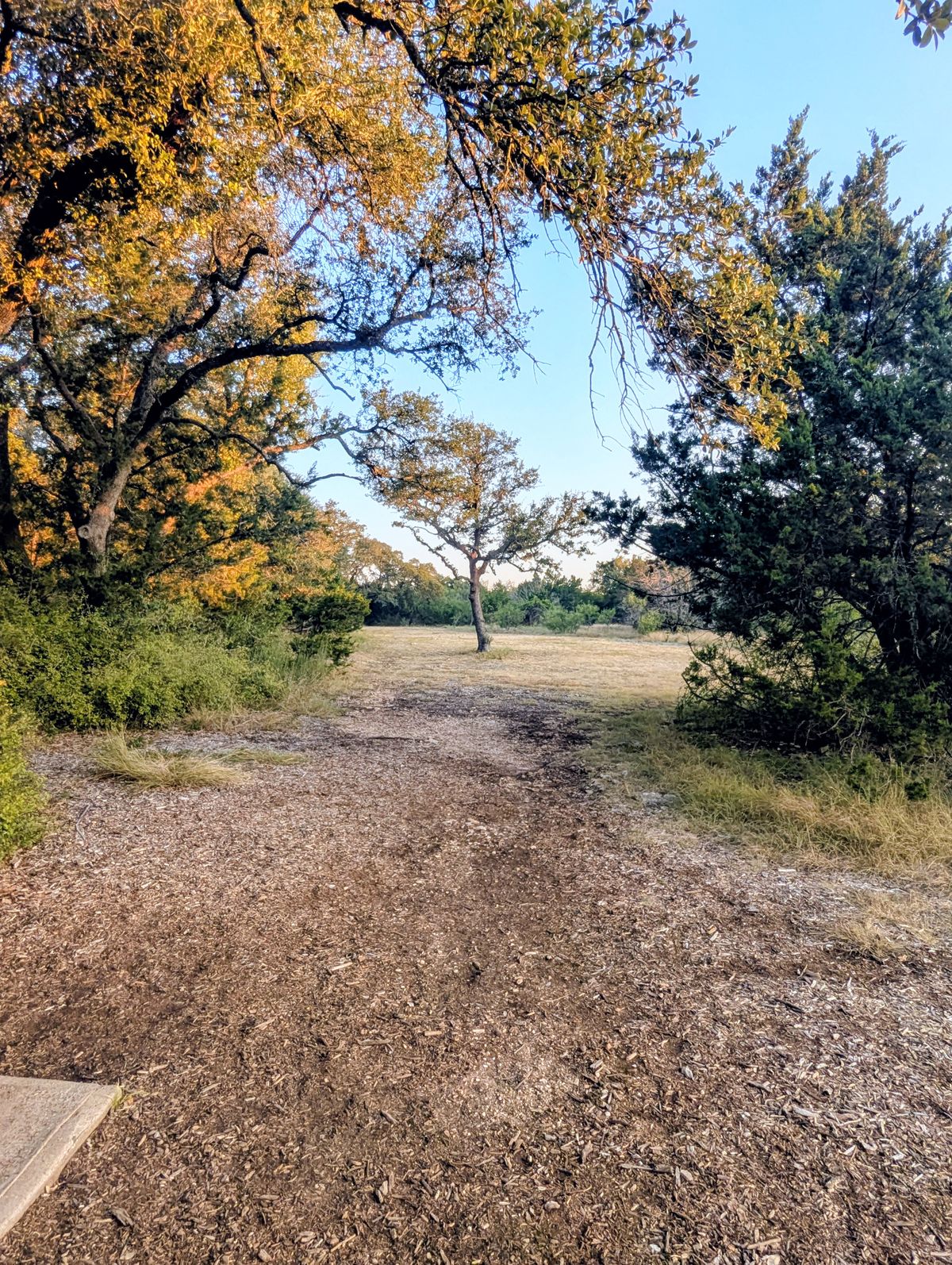 Hole 2 from tee