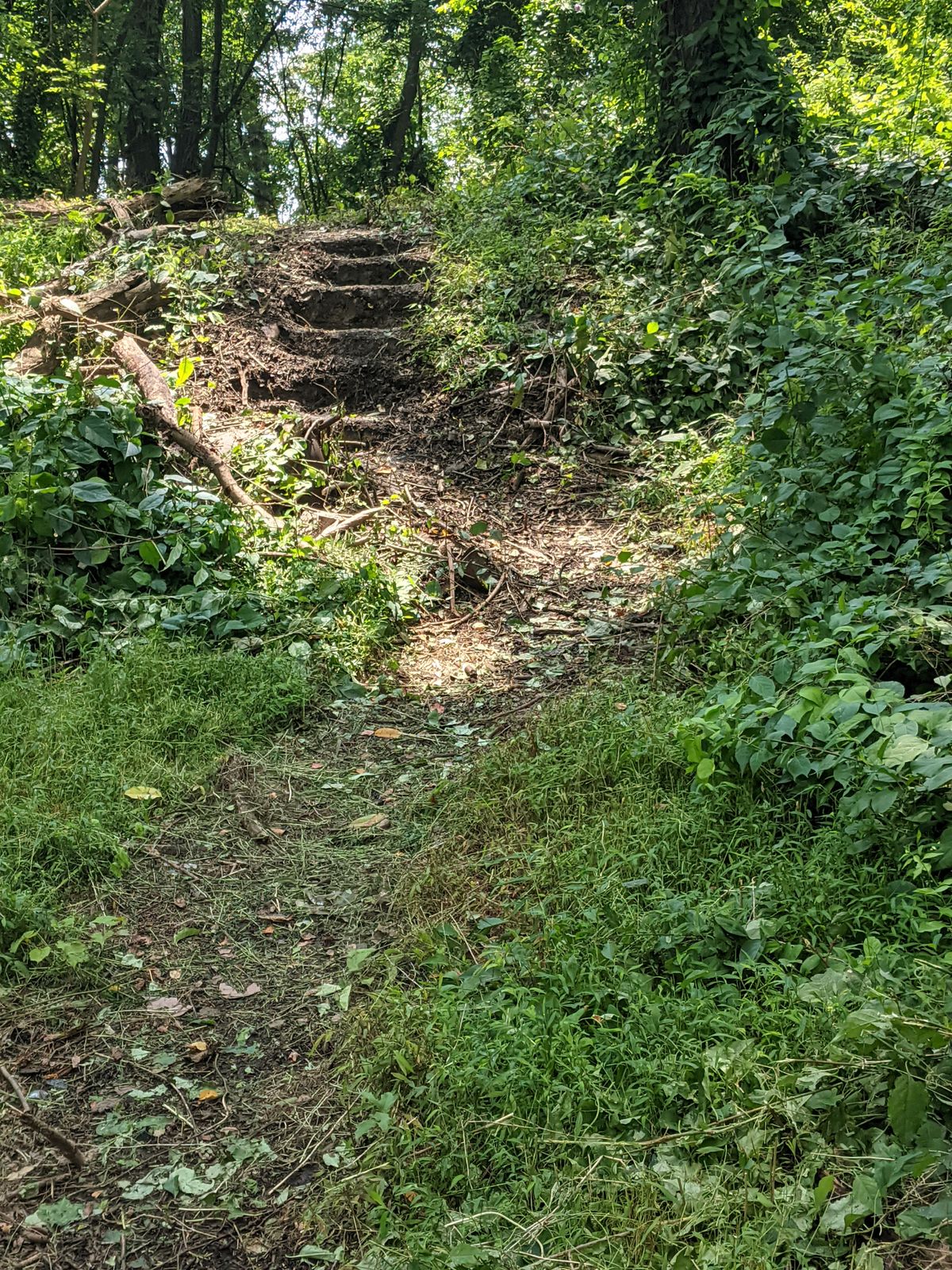 A member of Faith Church, who doesn't disc golf, built these steps on 3.