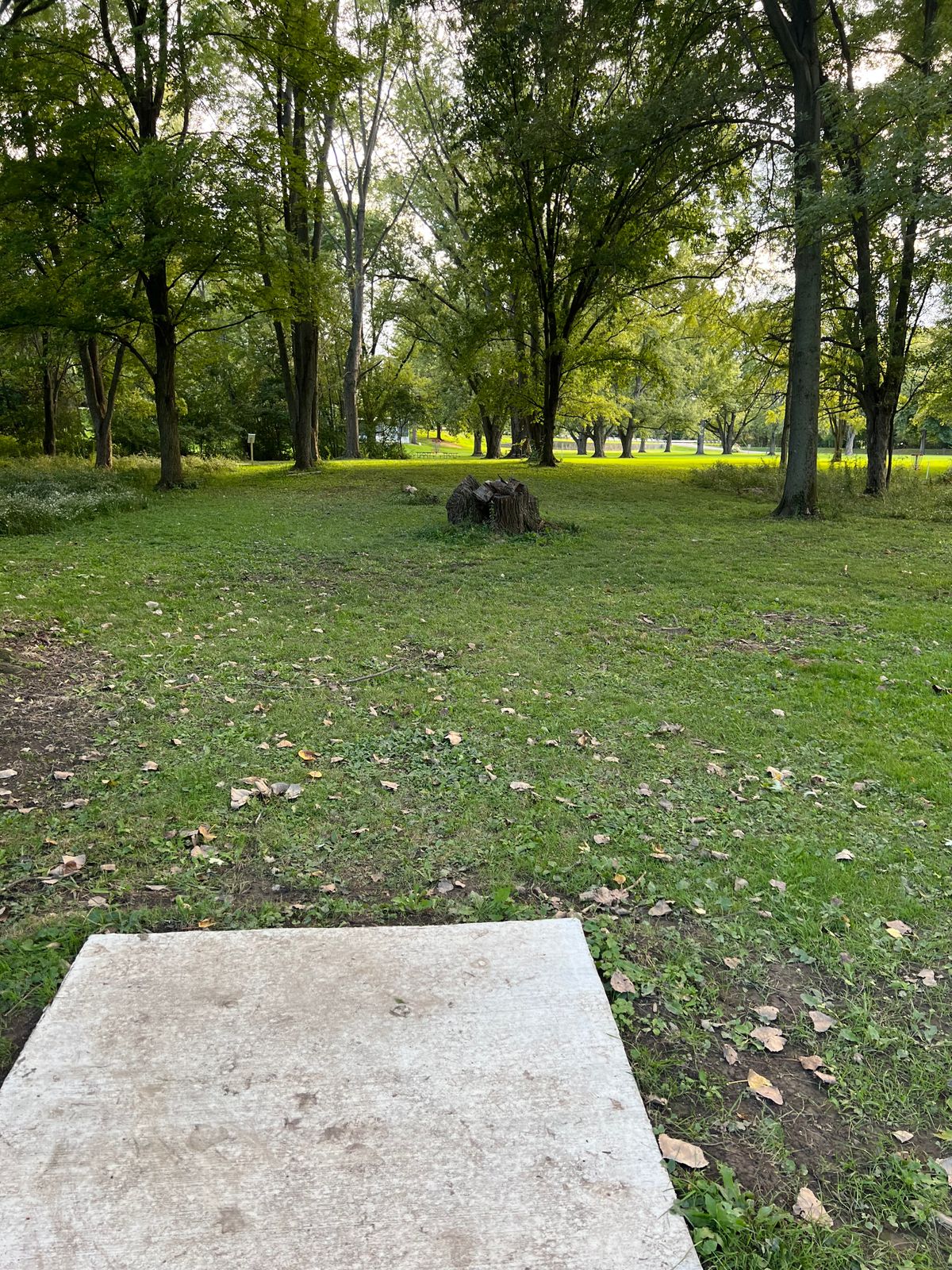 Hole 16 view from tee