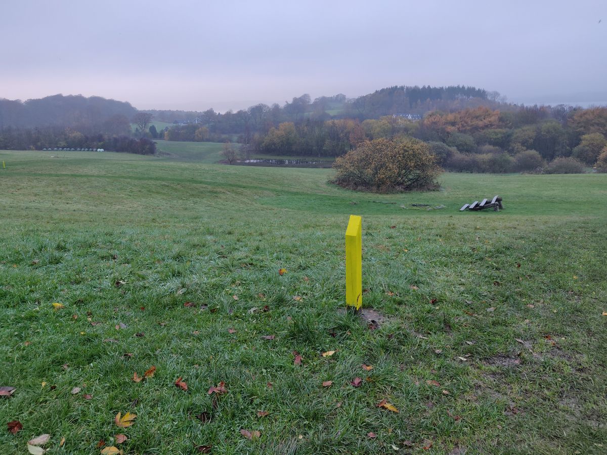 Tee 3 - basket is far right