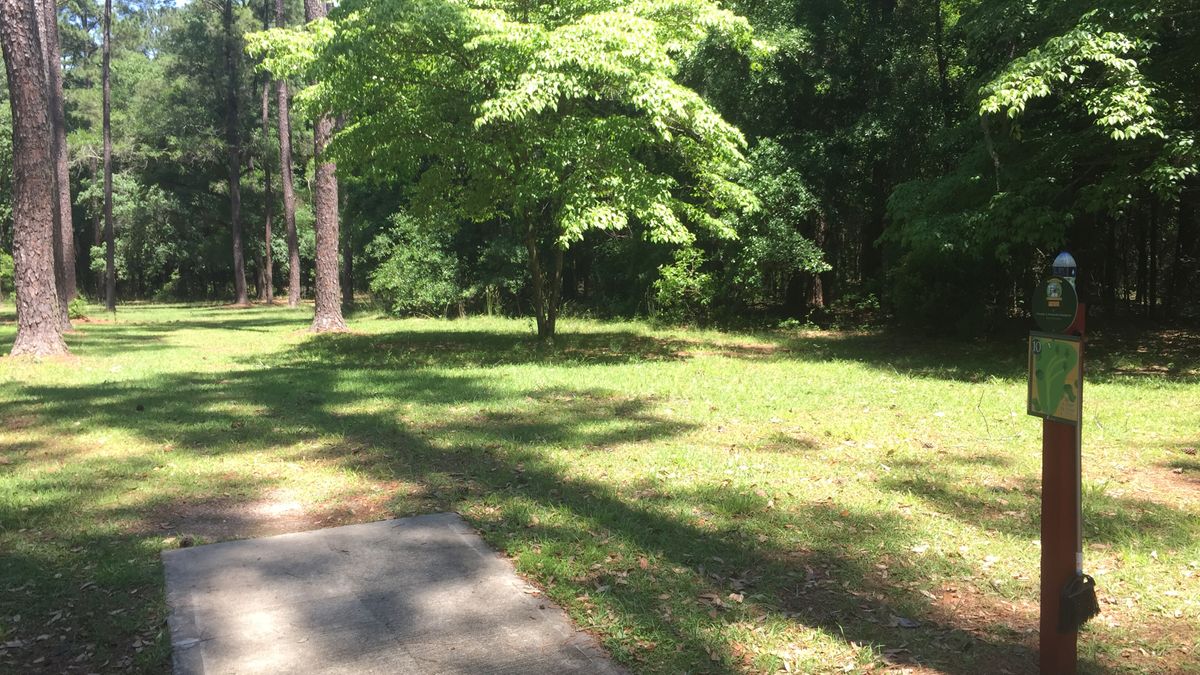 Hole 10