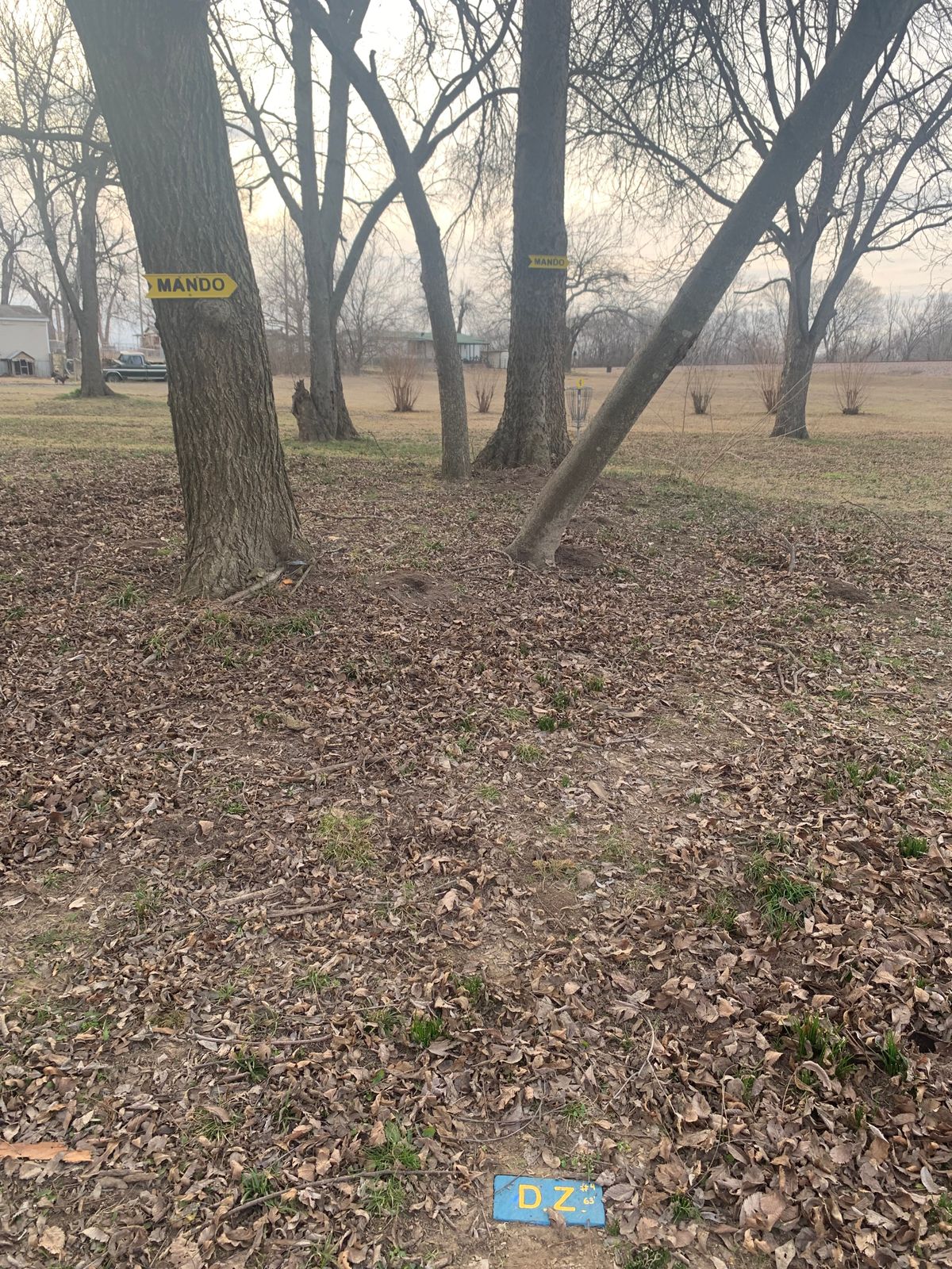 Hole #4 DZ brick.