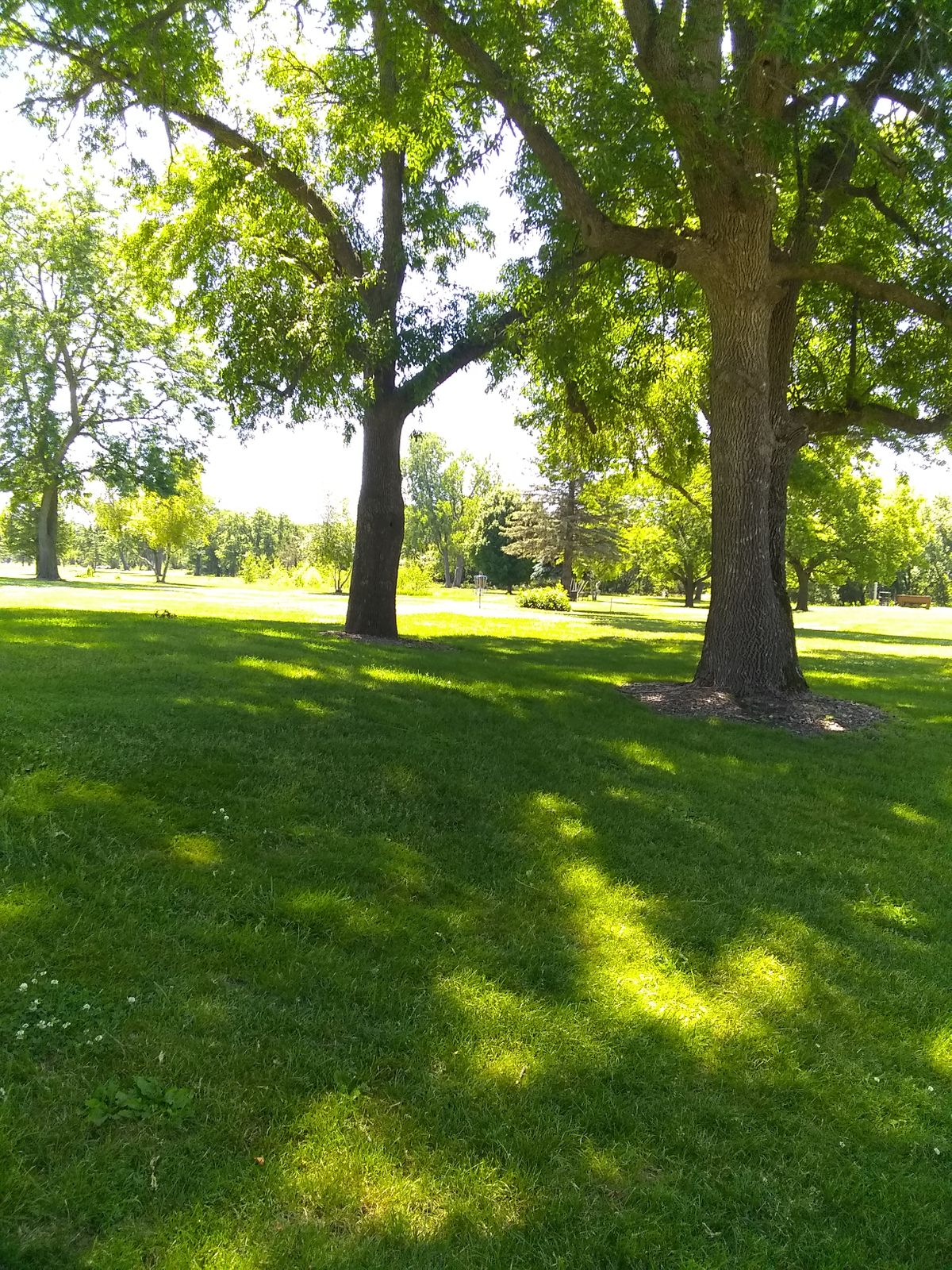 Lots of mature trees, very easy to follow course