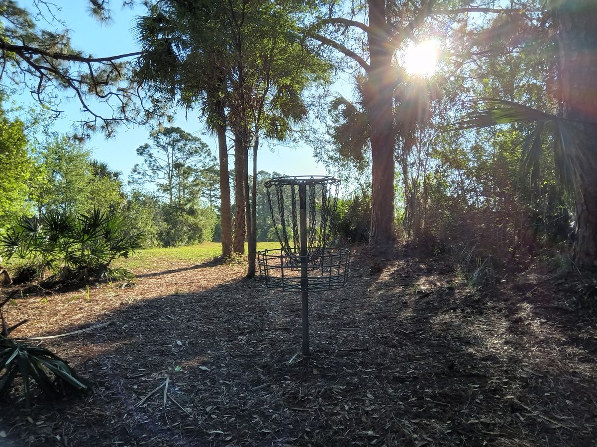 In the circle hole 5