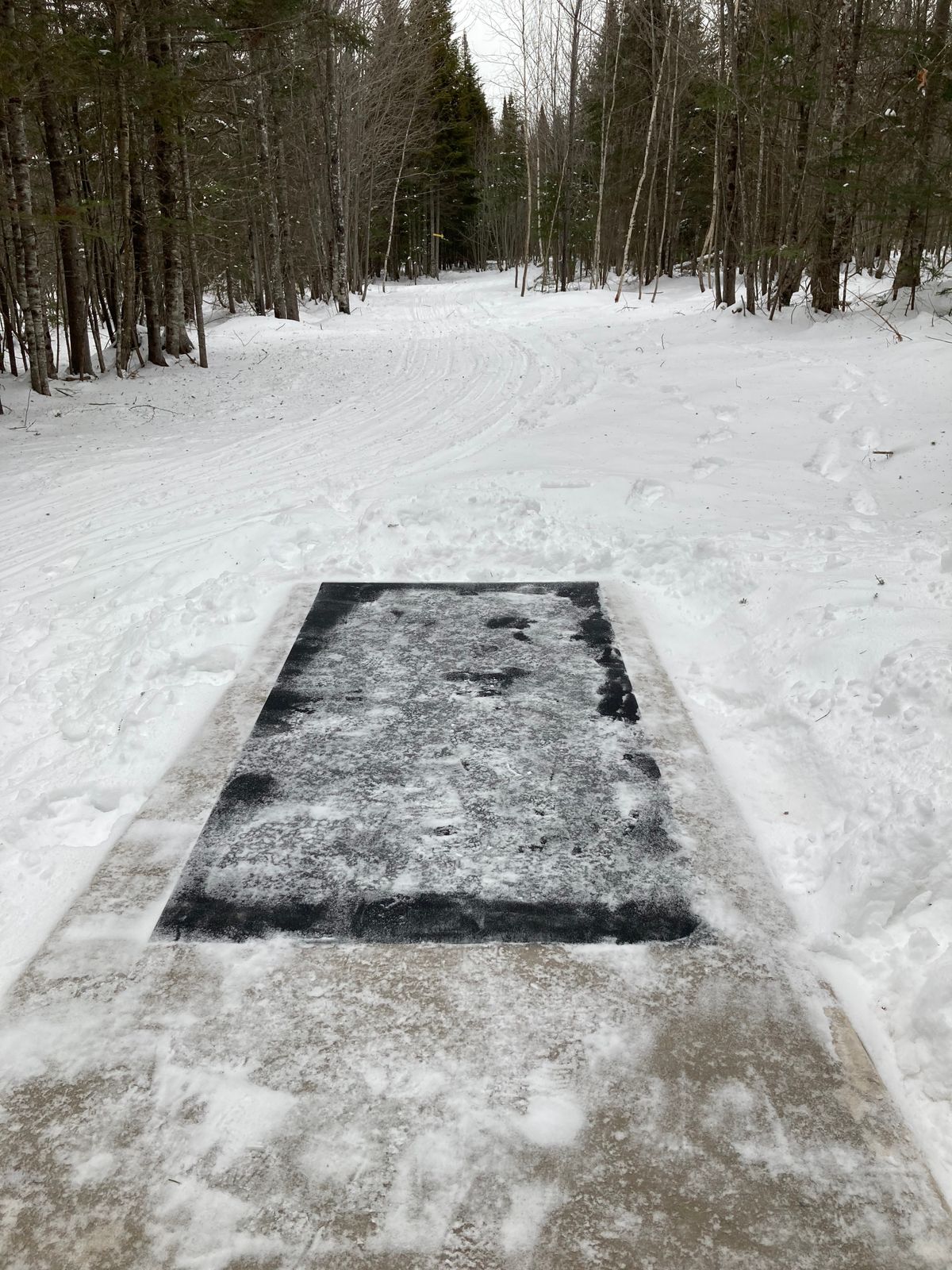 Hole 3 is a straight shot with a left finish to the basket.