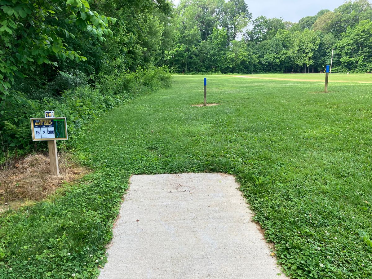 Hole 16. 300’ along the tree line. Creek is OB.  Guardians protecting the basket.