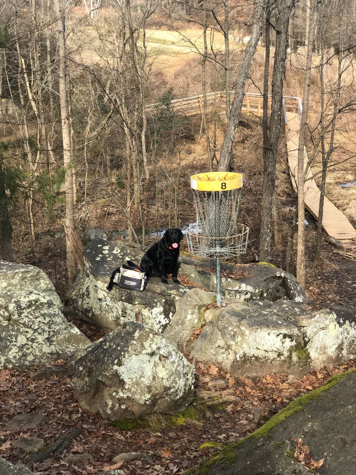 Basket #8, best hole on the course...IMO