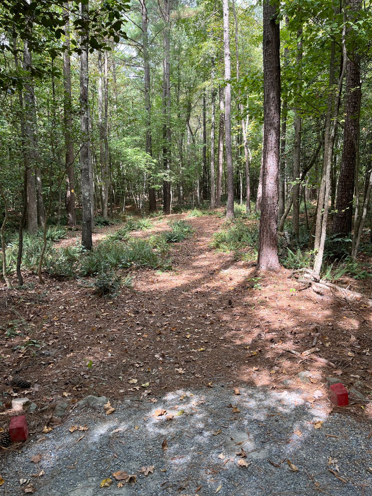 Hole 14: red tee