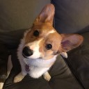 User avatar image