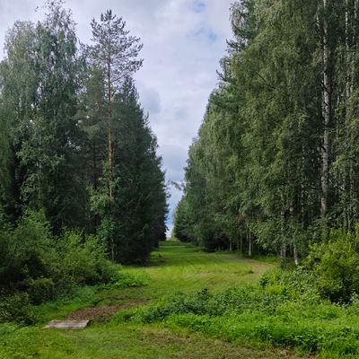 Hål 4. 
OB i bäcken 