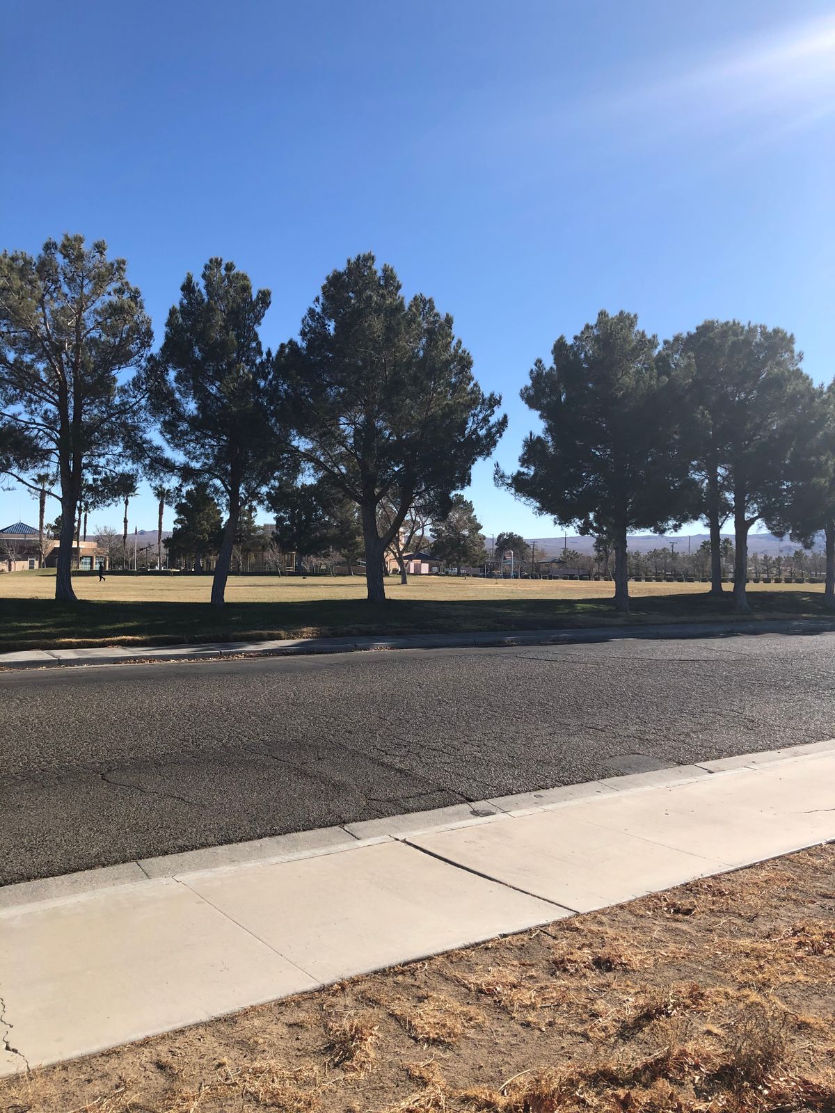 Looking Across Warner St. (As Some Holes Play)