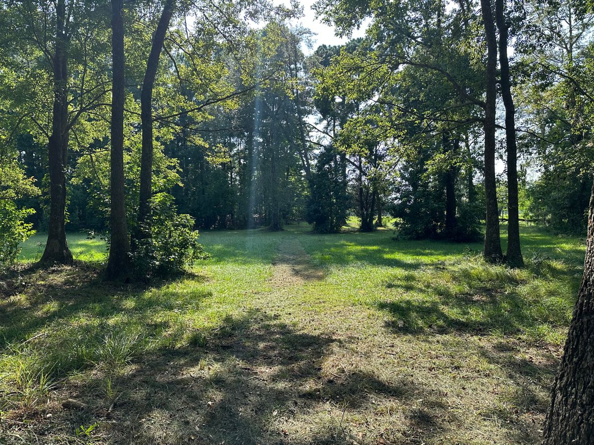 Hole 16 Fairway