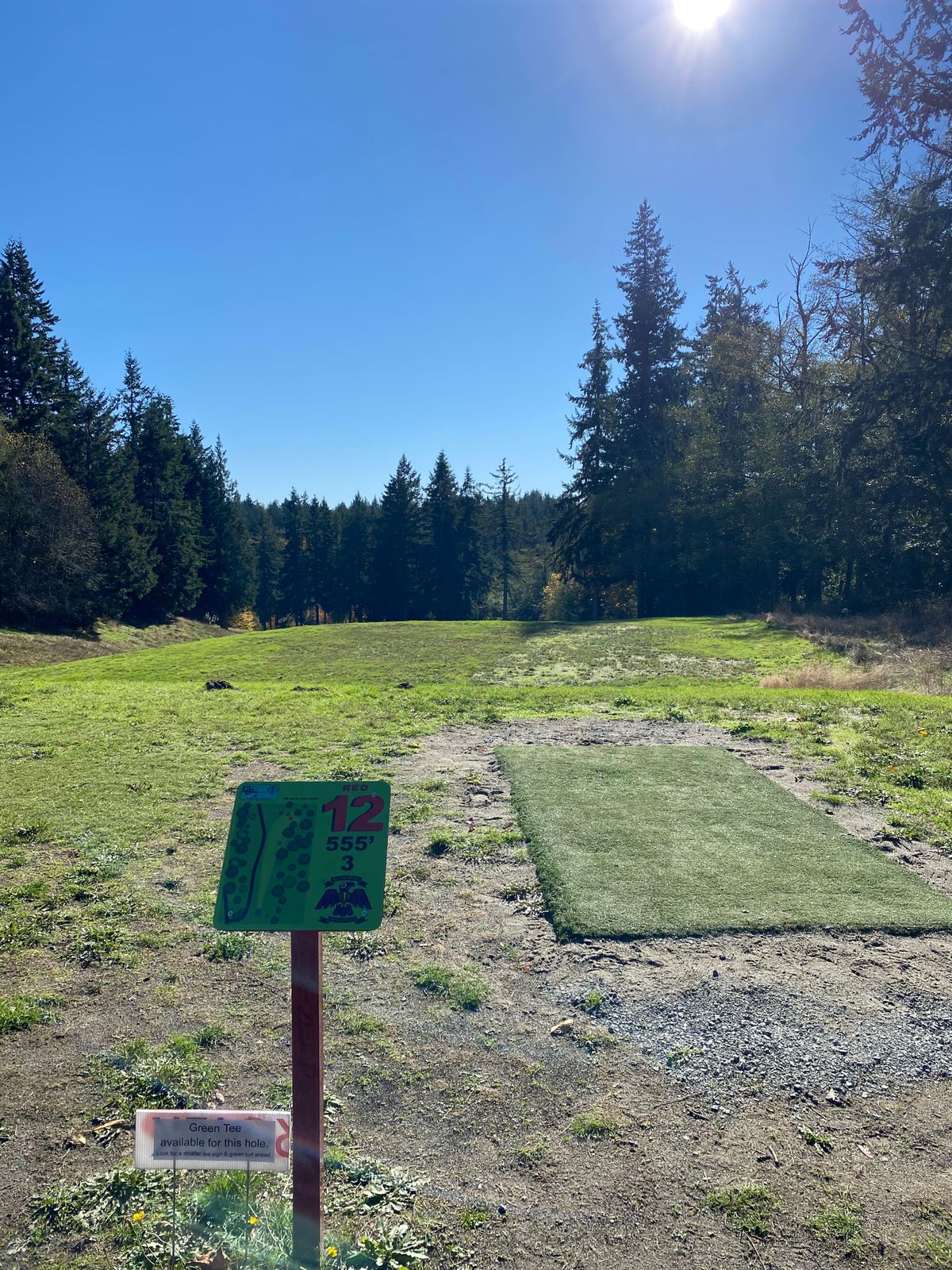 Old Hole 12 tee