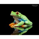 User avatar image