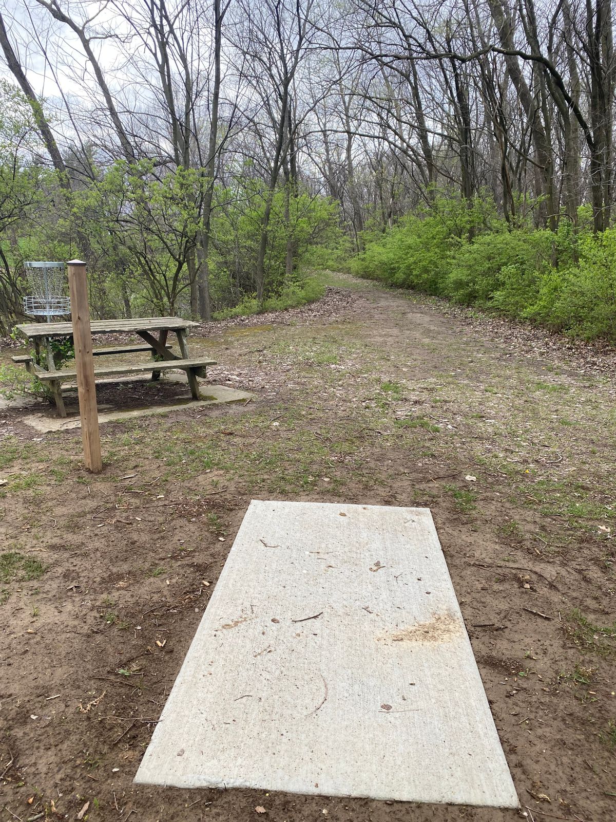 Hole 3 Tee Pad