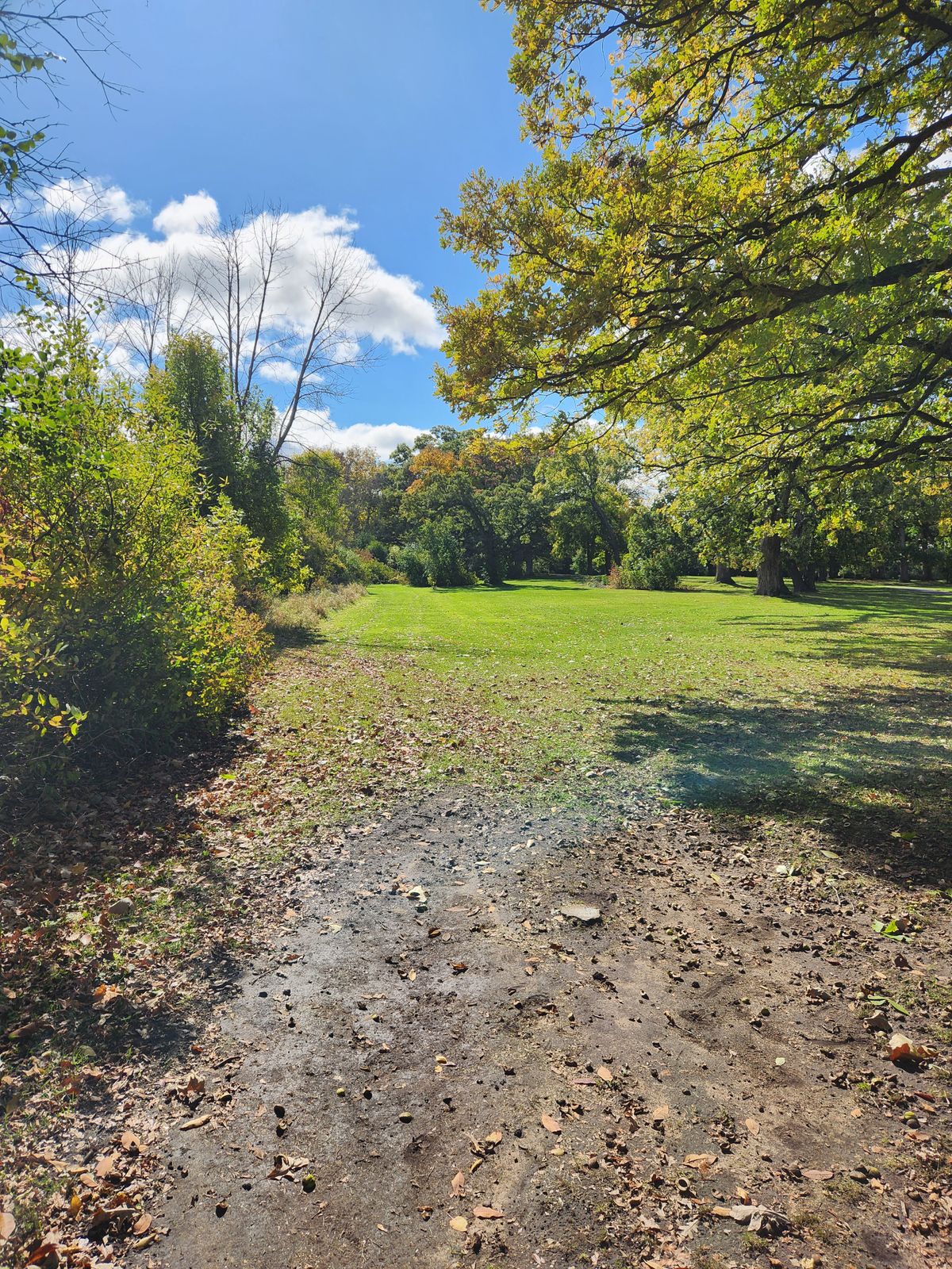 Hole 4 short tee