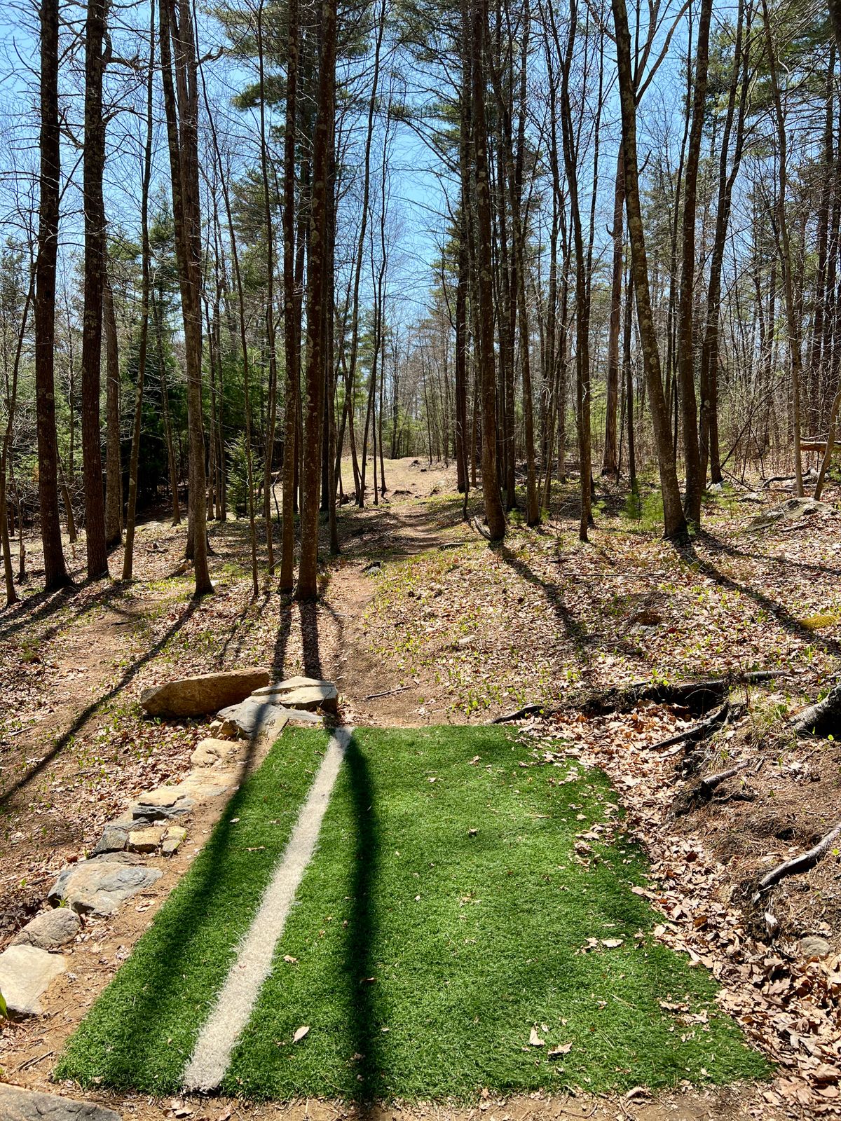 Tee Box Hole #8