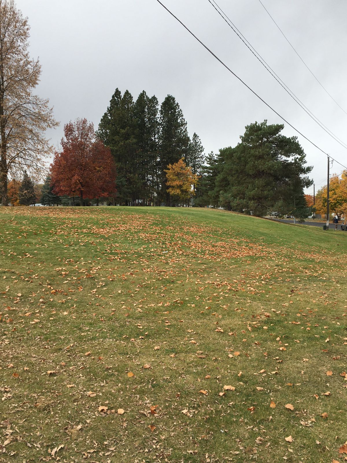 View from tee box of hole 1 (9 and 4 hole layouts)