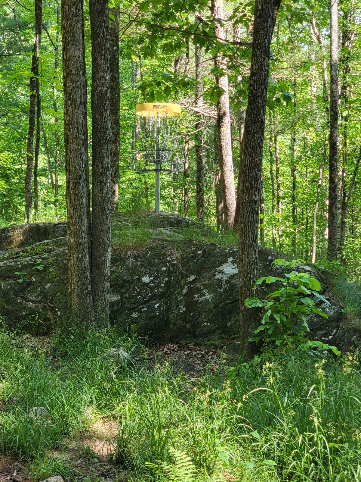 Devil's Grove Disc Golf-Demon