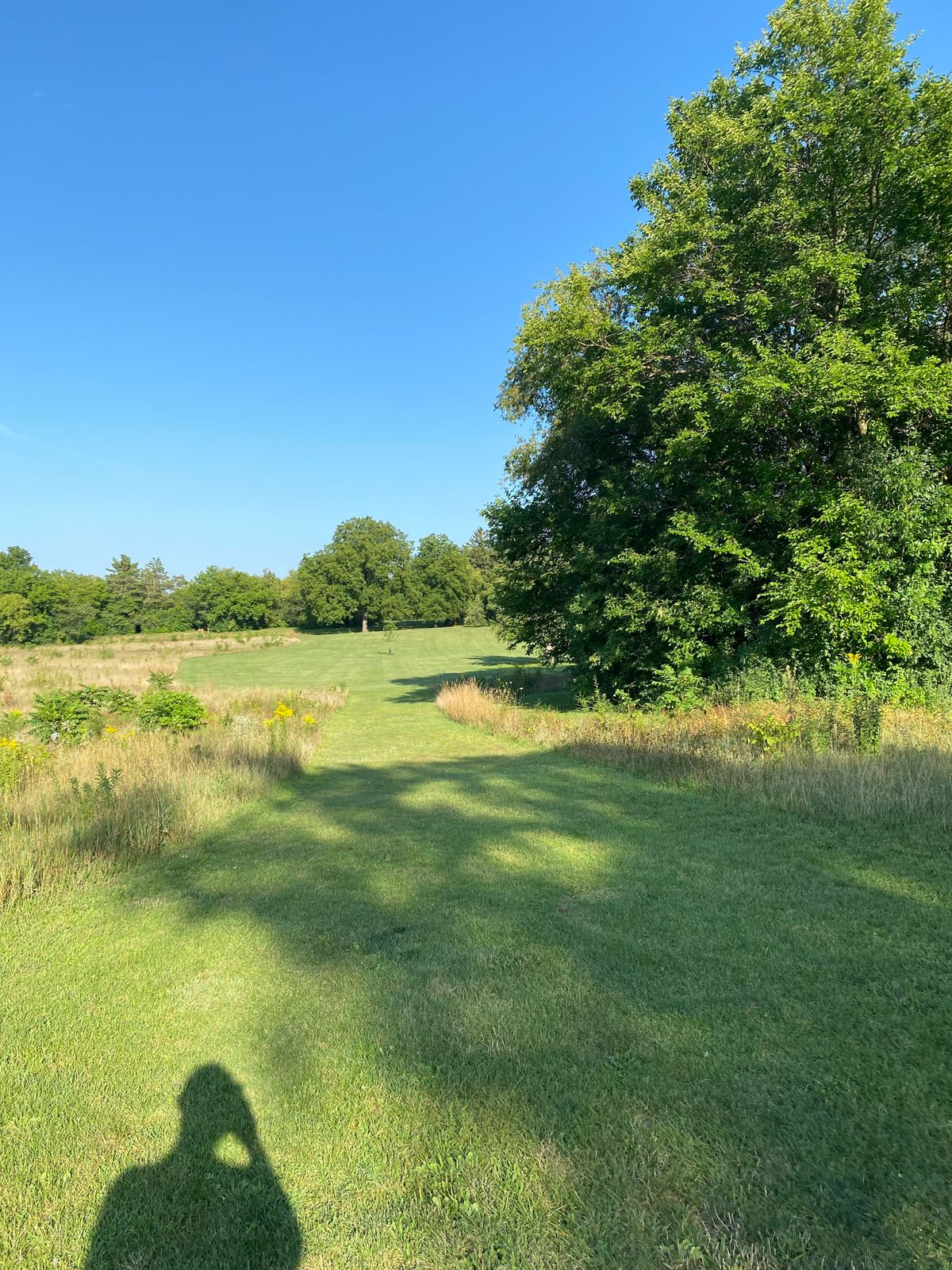 Hole 10 from the tee pad.