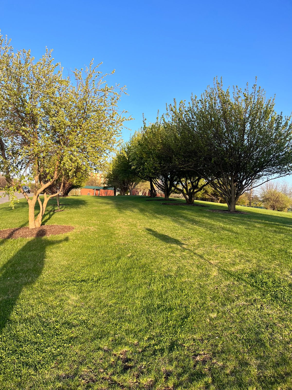 Hole 7 Fairway