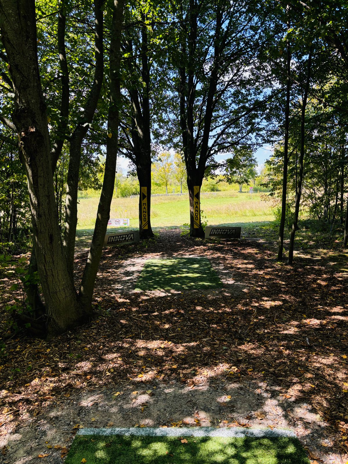 Hole 3: Par 3, 222ft