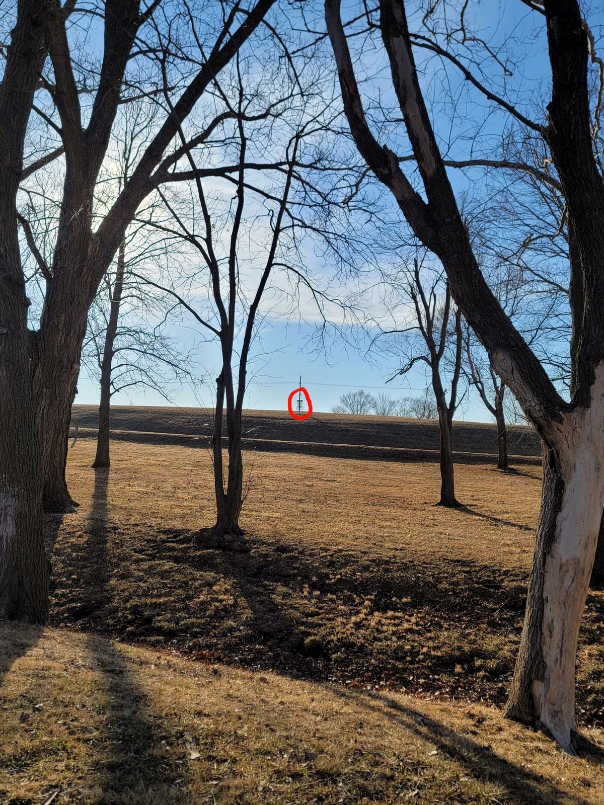 Hole 7 Teepad View
