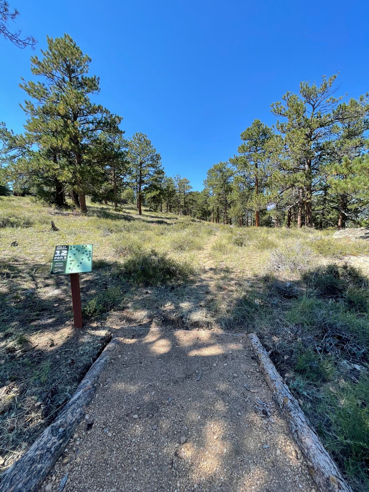 Hole 12 tee