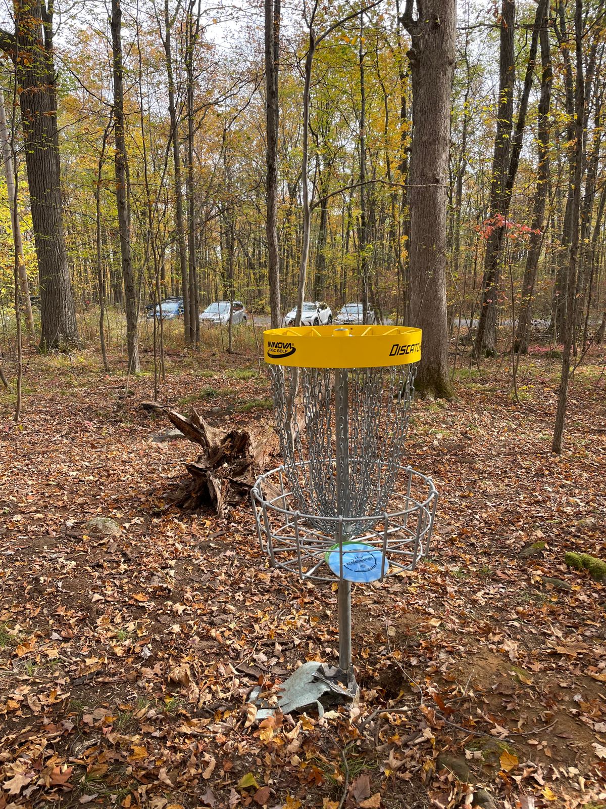Hole 9 Basket