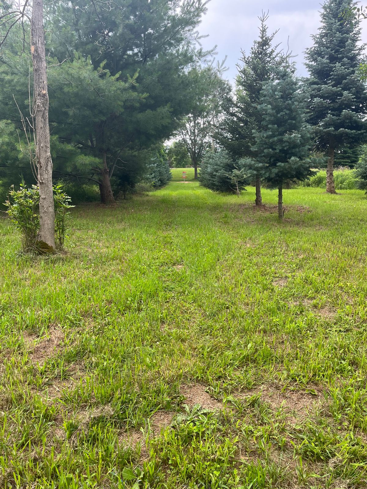 Hole #2 White Tee