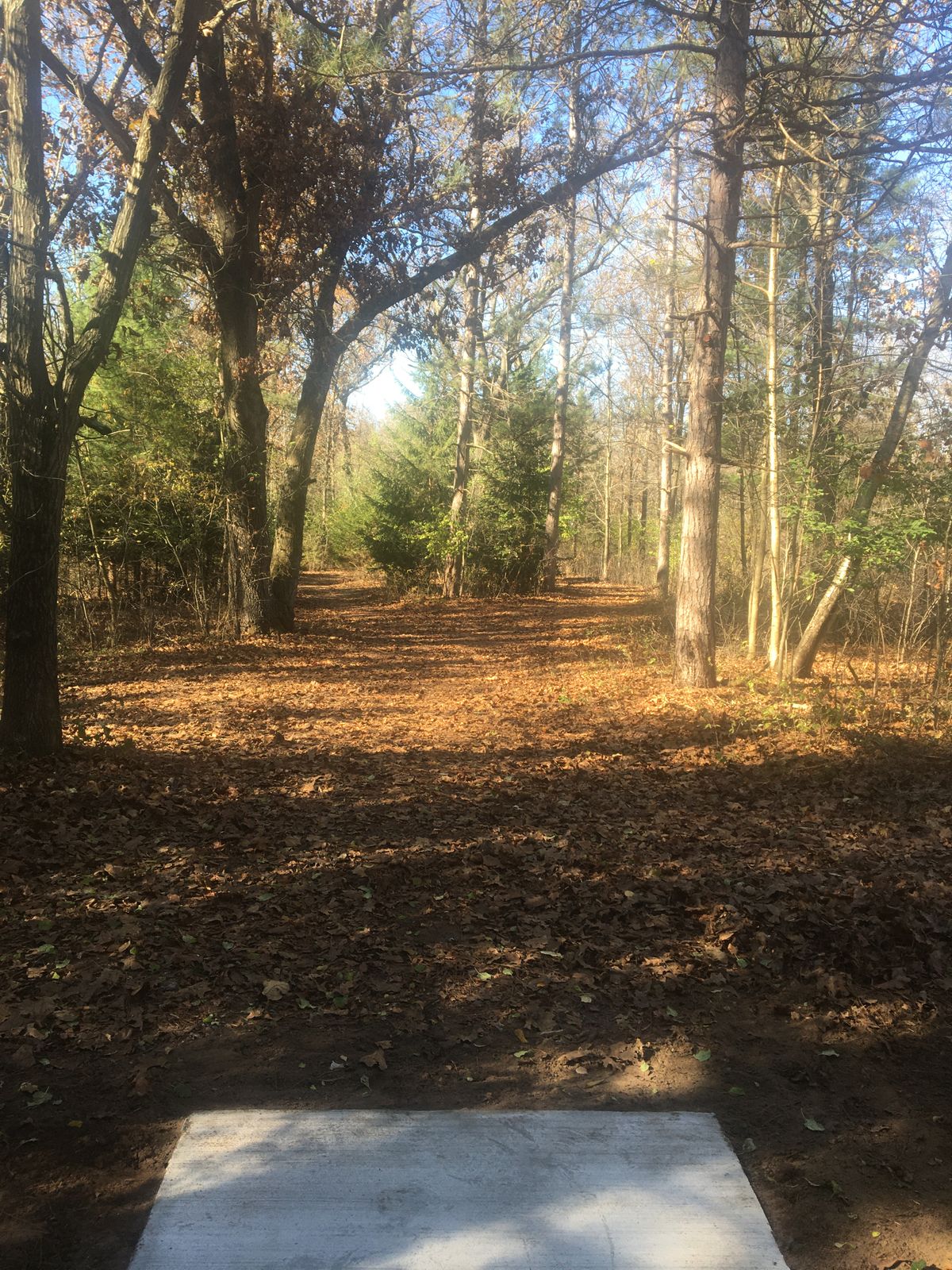Hole 8