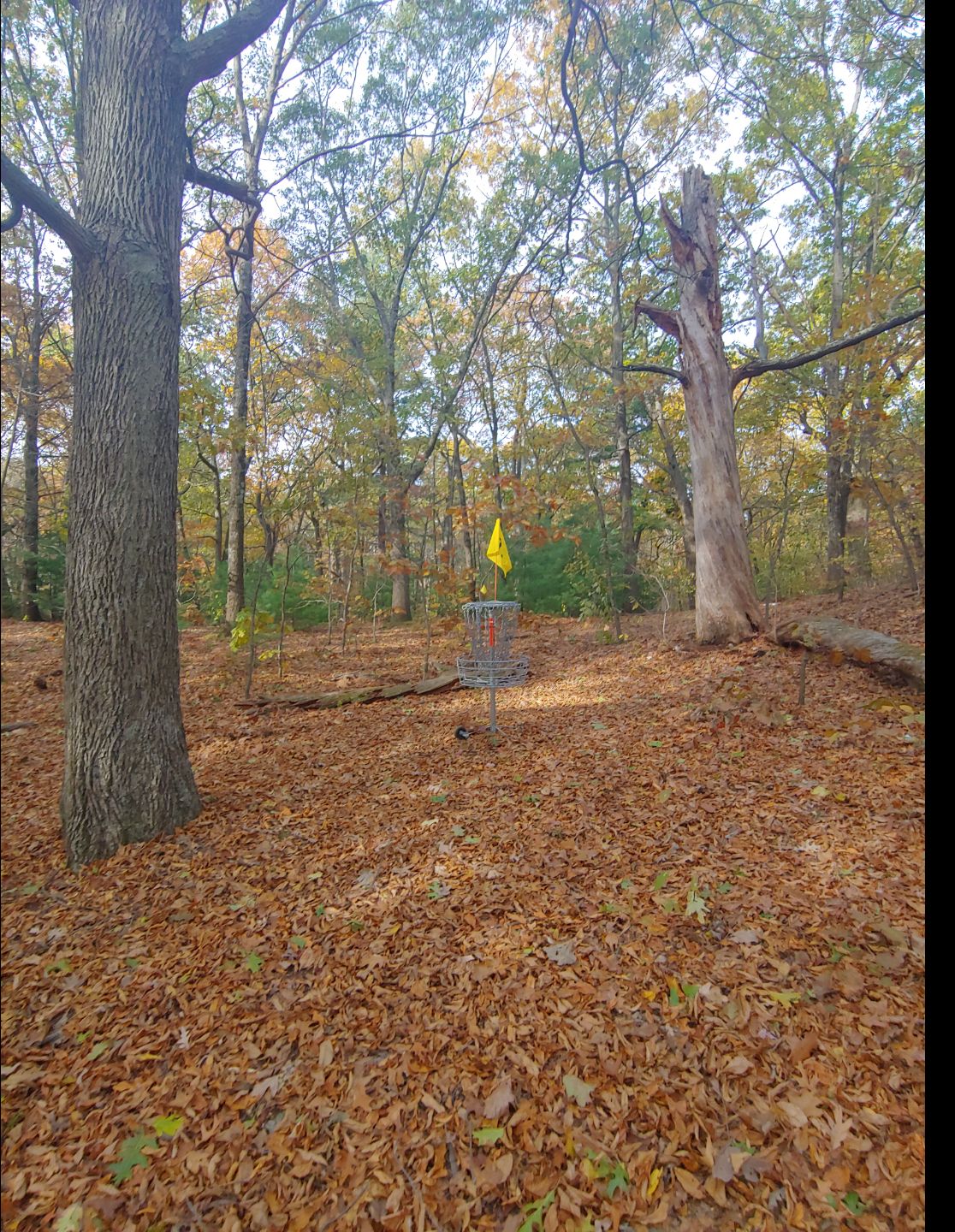 Hole 11 basket