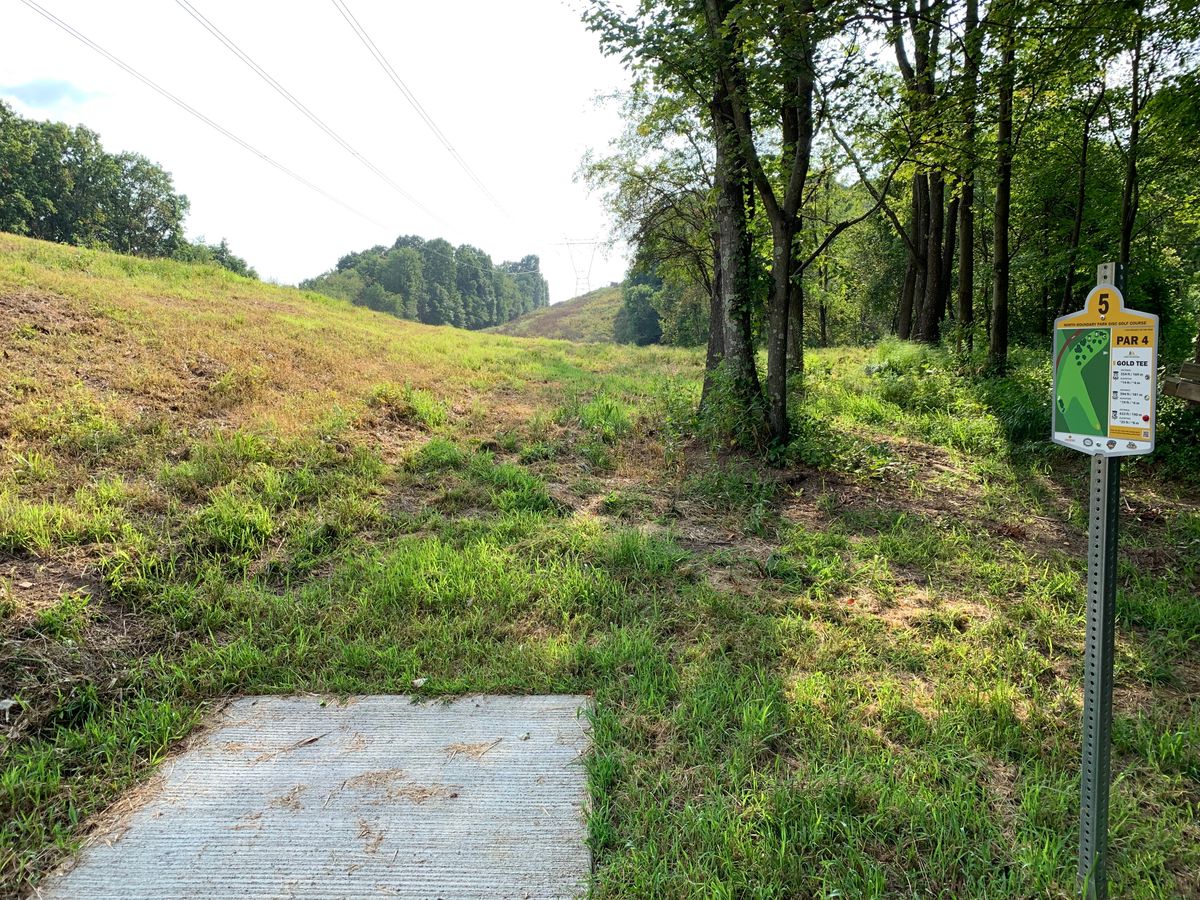 Hole 5 gold tee