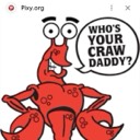 User avatar image