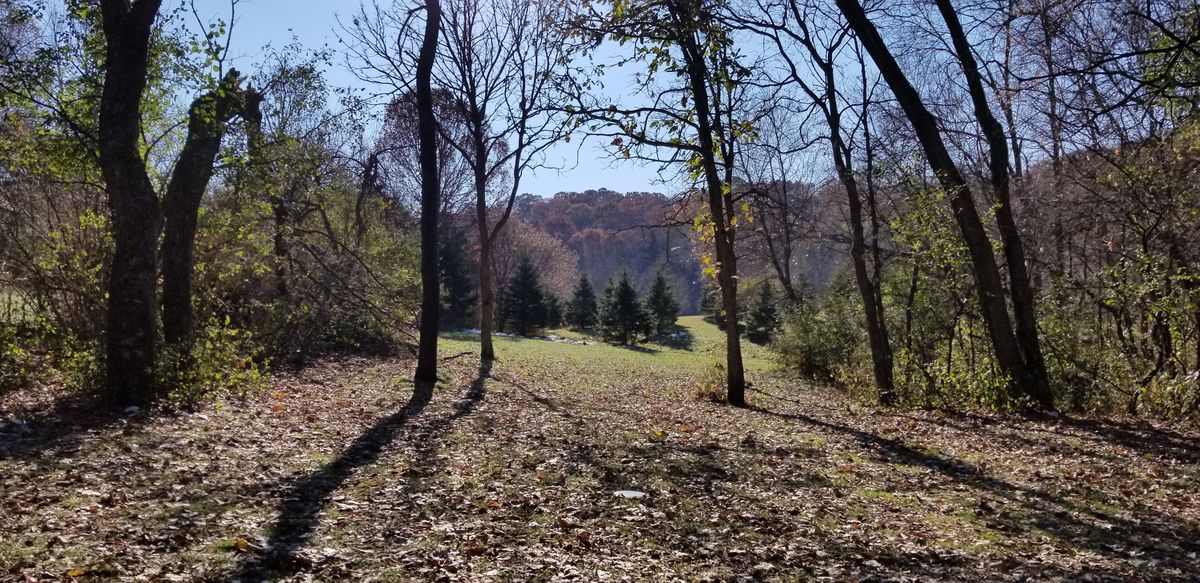 One of the last nice days of the year on hole 15.