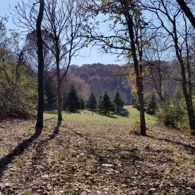 One of the last nice days of the year on hole 15.