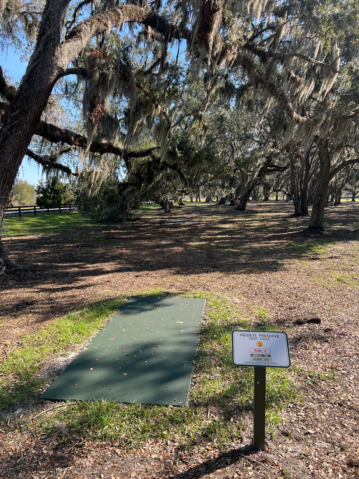 Hole 3 Green Tee