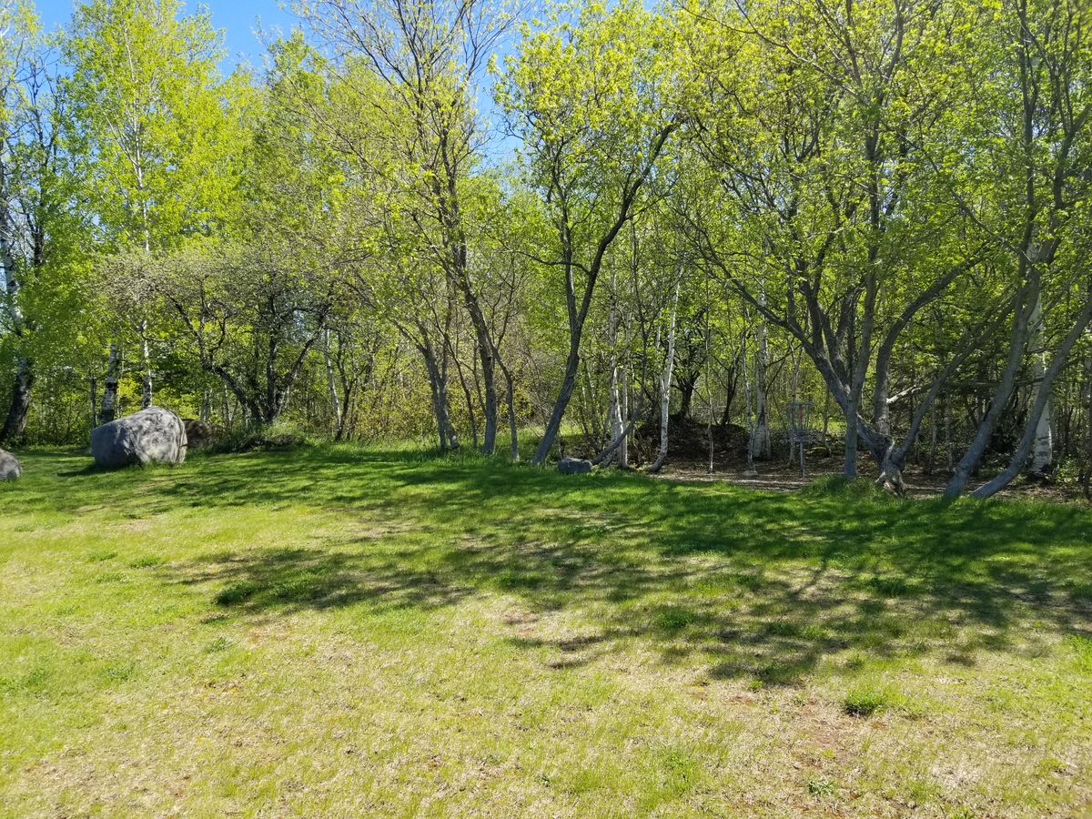 Hole #4 (BLUE layout) green/layup area