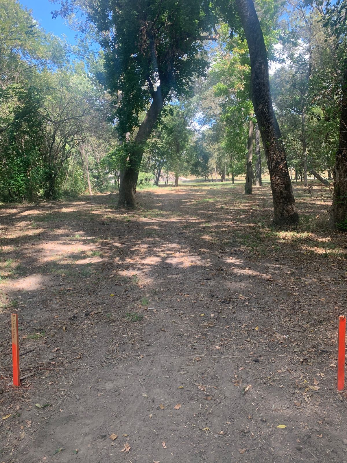Hole #6 tee