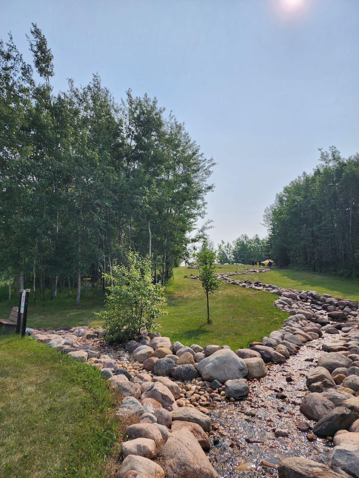 Hole 16 looking towards Tee
