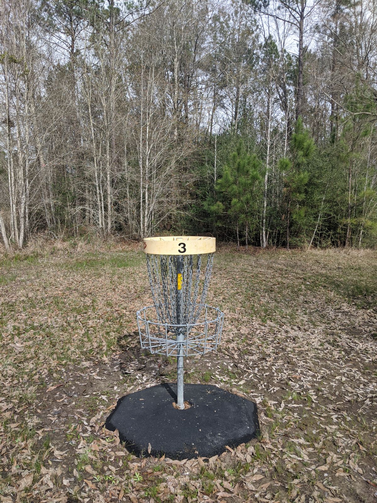 Hole 3 Basket