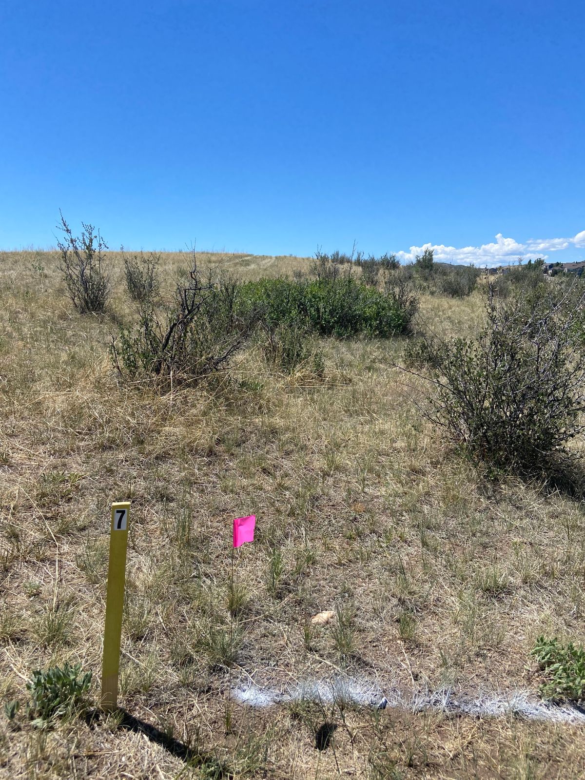 Hole 7 tee to basket