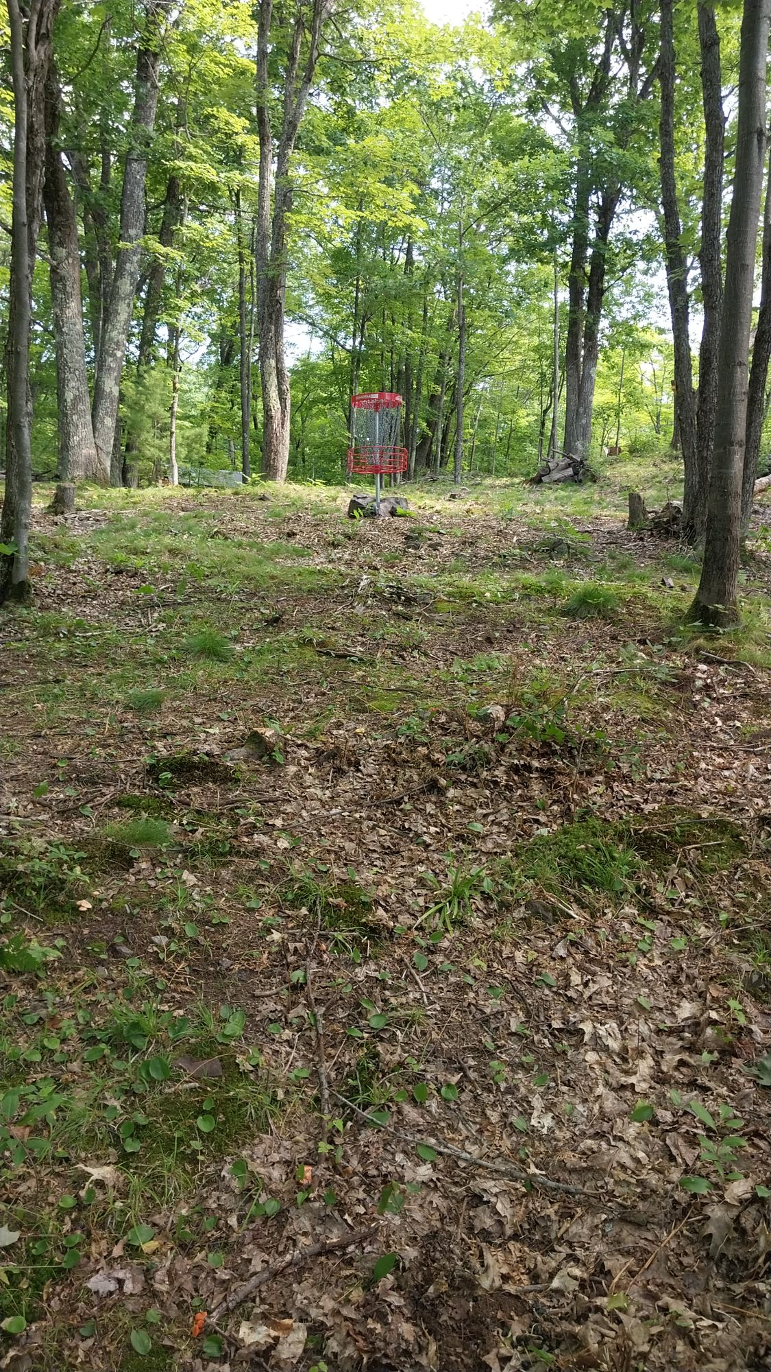 Hole 16 short