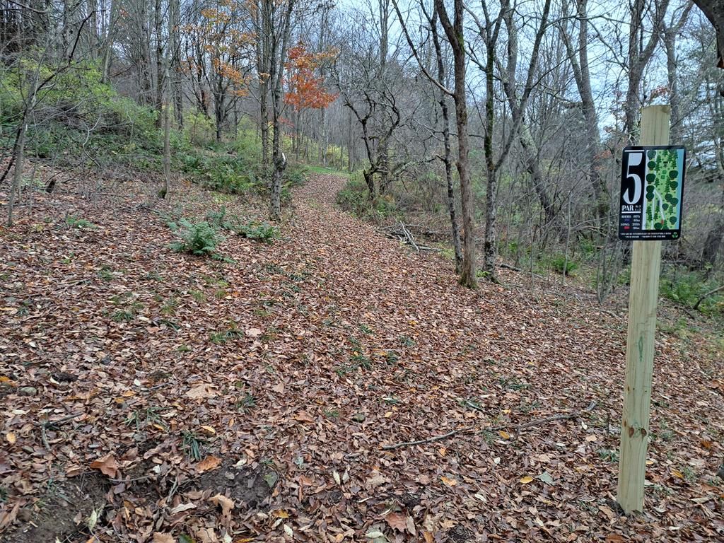Hole 5 Long