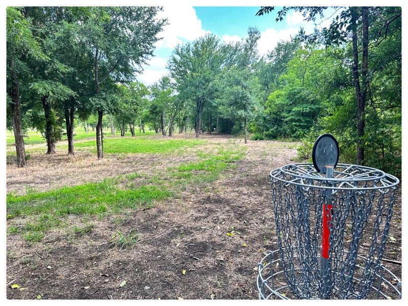 5 basket looking S back to tees