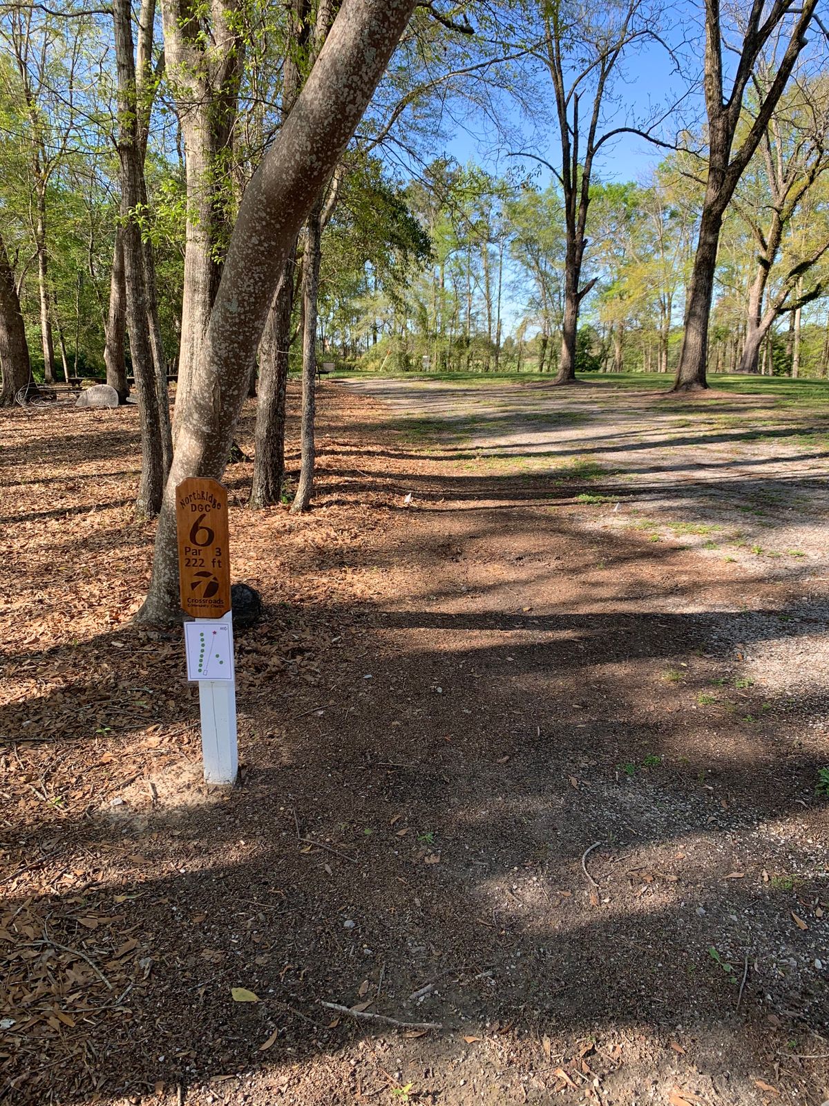Hole 6 tee