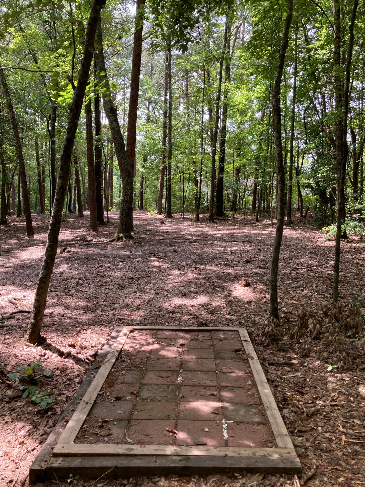 Hole 15 - Drop zone -  throw from here with 1 penalty stroke if Mando is missed