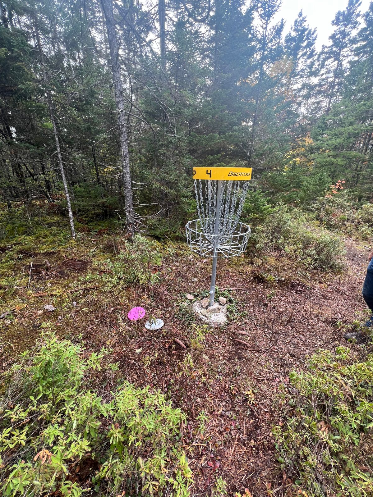 Hole 4