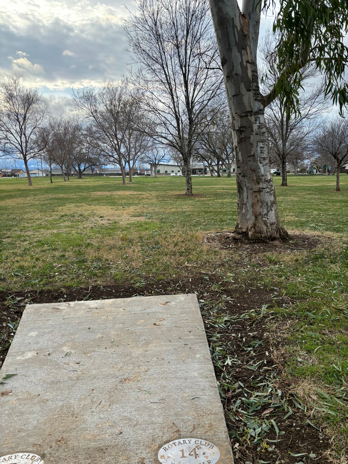 14 tee pad throws to 6 target.